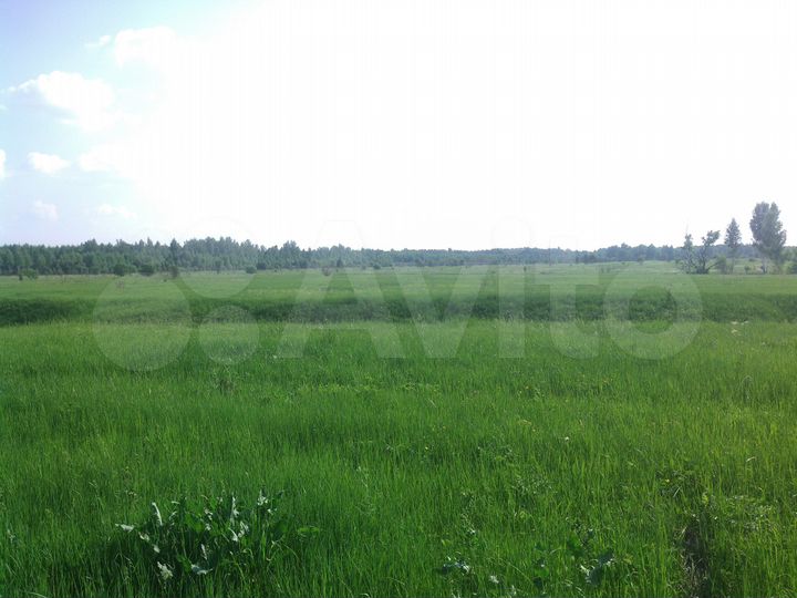 Участок 9,55 га (СНТ, ДНП)