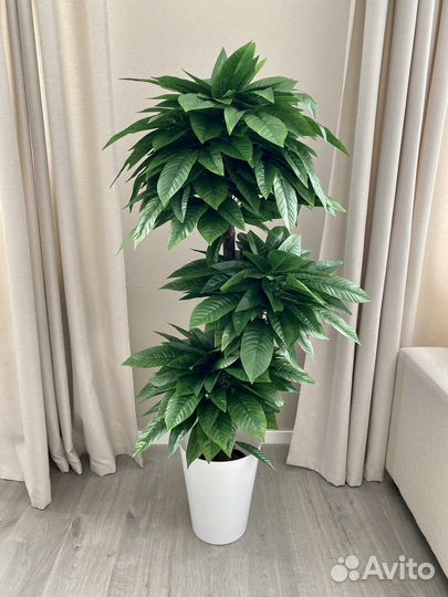 Искусственные растения