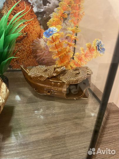 Аквариум с тумбой 60л