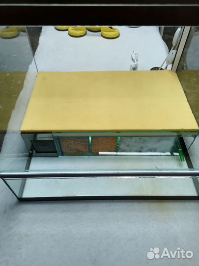 Террариумы и аквариумы по вашим размерам