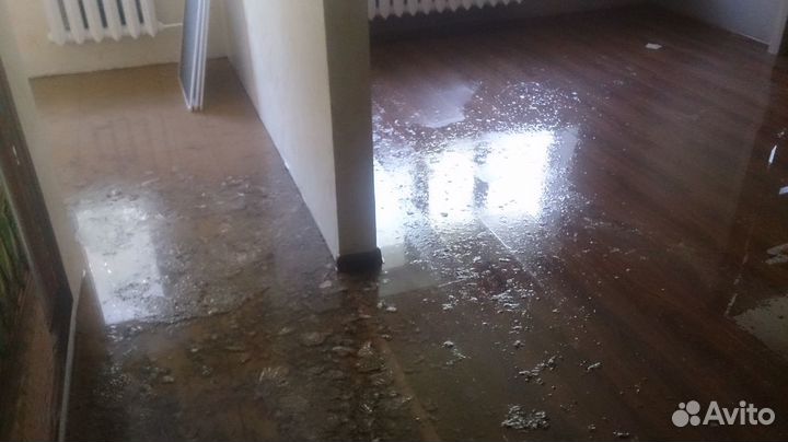 Независимая экспертиза Оценка ущерба