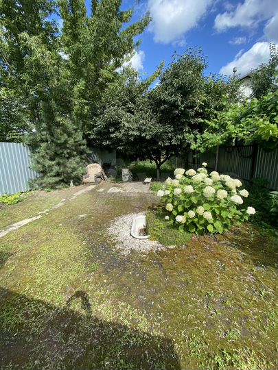 Дом 36 м² на участке 2,6 сот.