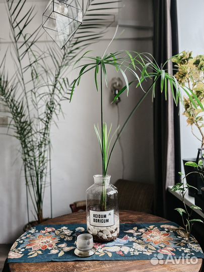 Штанглас, аптечная банка