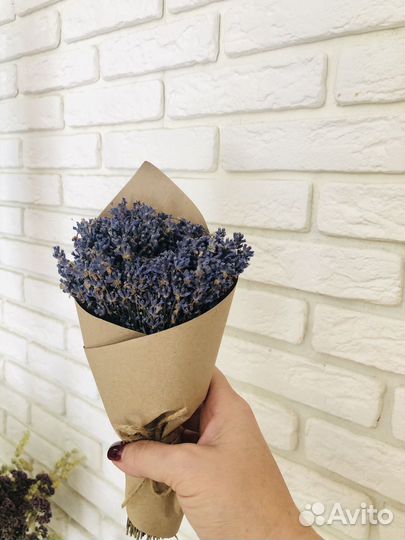 Лаванда сухоцвет оптом
