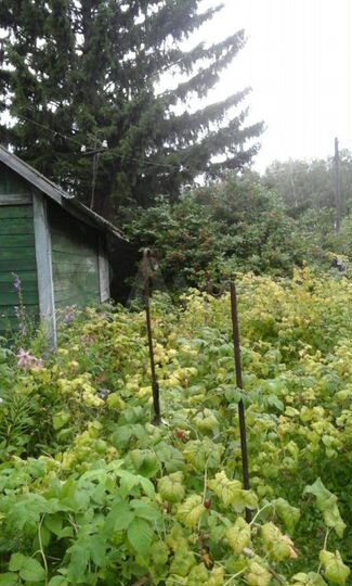 Дача 20 м² на участке 13 сот.