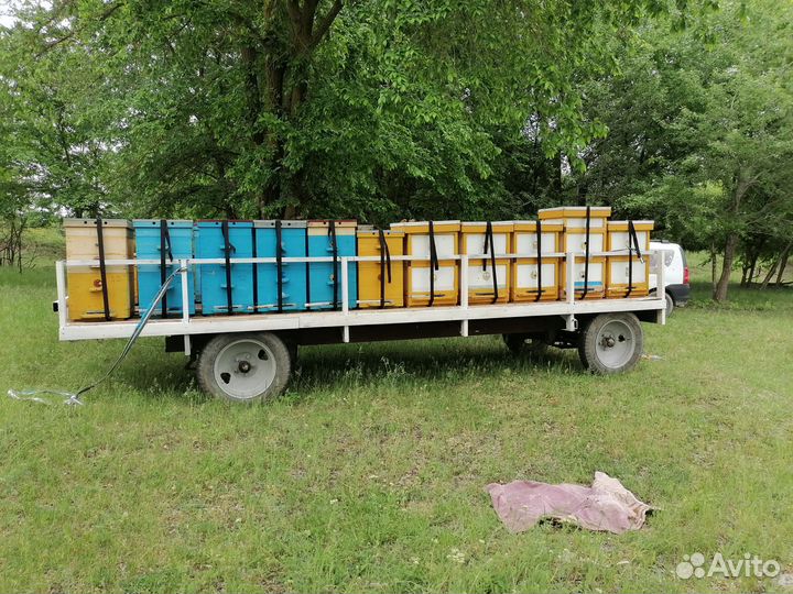 Пчелы и павильон