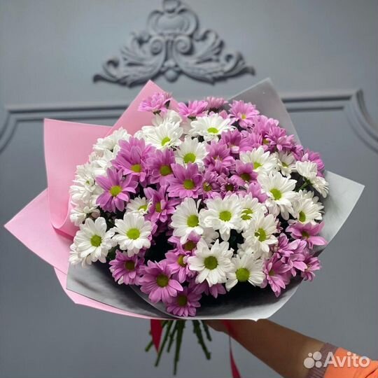 Хризантема ромашки