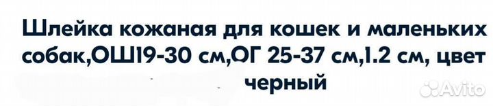 Кожаная шлейка для щенка