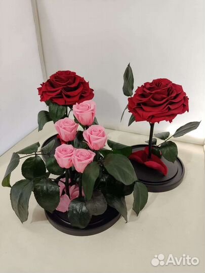 Цветы оптом