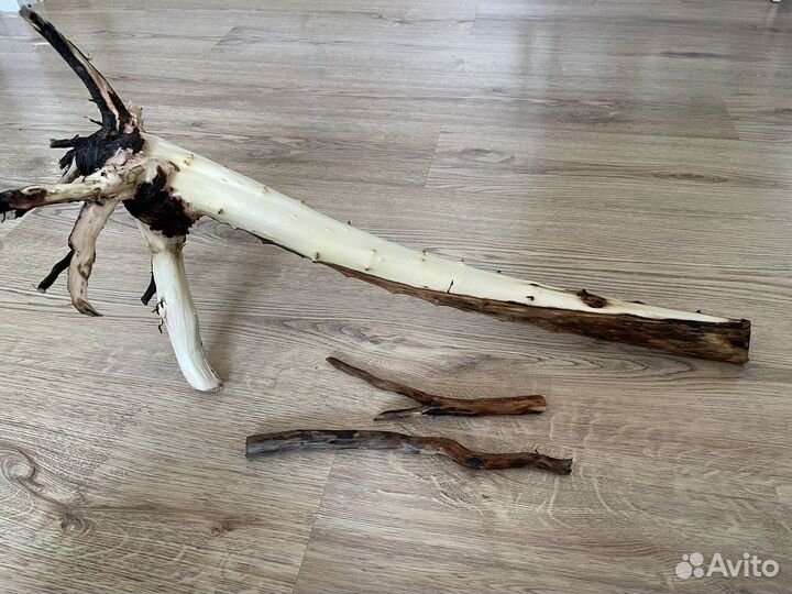 Коряга в террариум