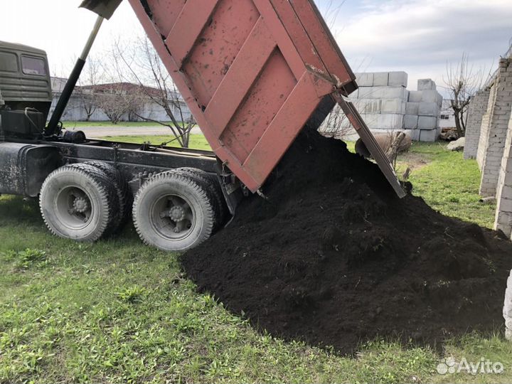 Чернозем тараканом быстро без посредников