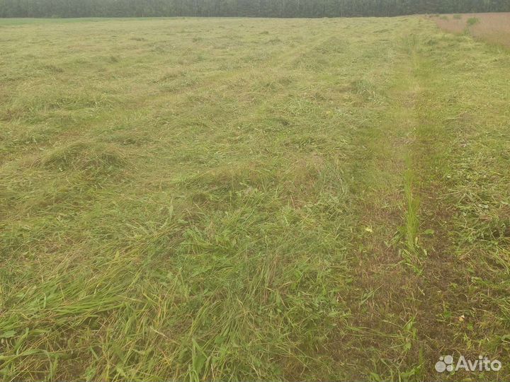 Сено и солома в тюках