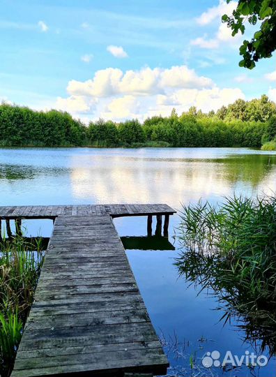 Платная рыбалка