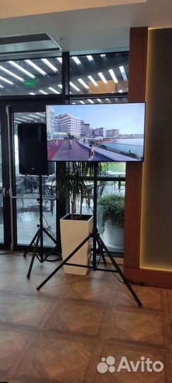 Телевизор 50 дюймов аренда
