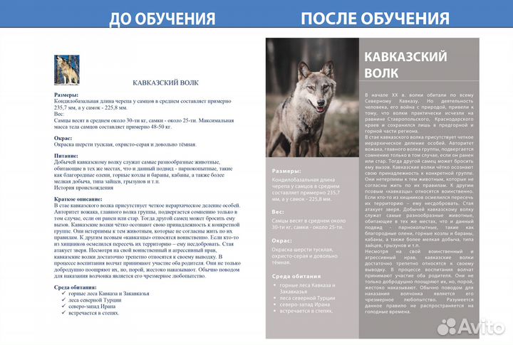 Репетитор Word Excel PowerPoint