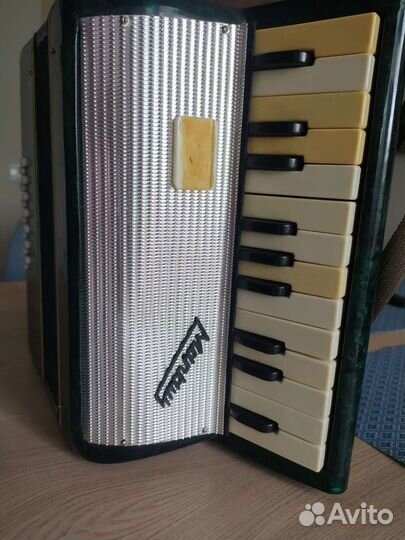 Аккордеон детский