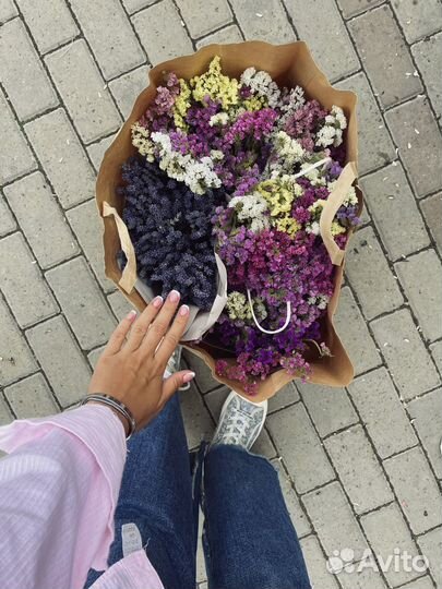 Сухоцветы статица