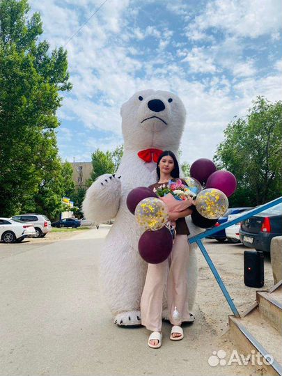 Поздравление от белого мишки, ушастика и гориллы