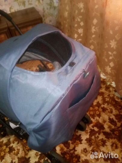 Прогулочная коляска tomix