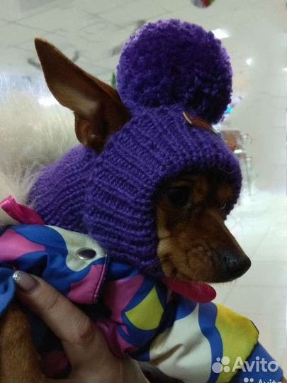 Шапочка для собаки