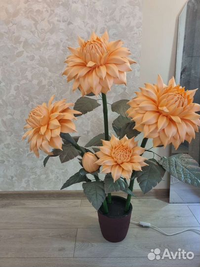 Ростовые цветы