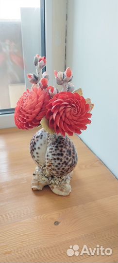 Изделие из ракушек декоративное