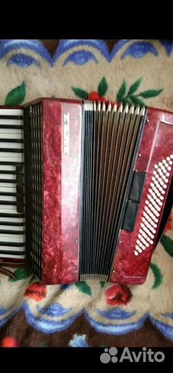 Аккордеон Заря2