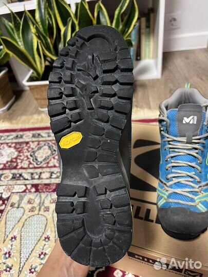 Ботинки треккинговые