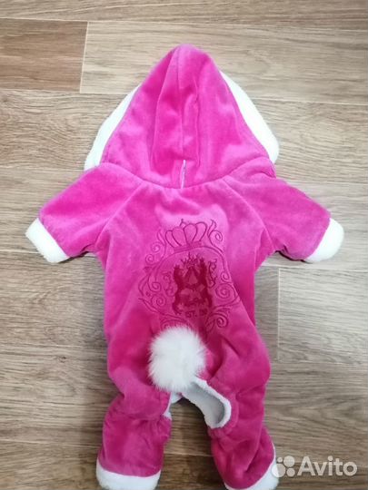 Одежда для собак