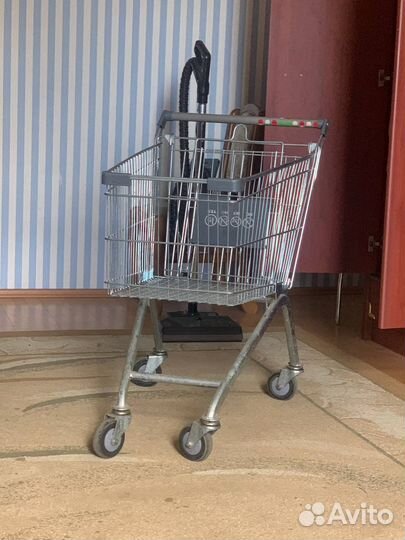 Тедежка потребительская