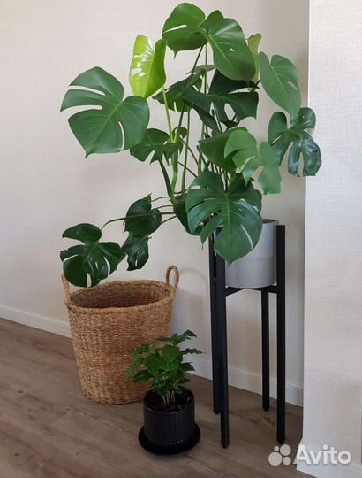 Подставка для цветов напольная