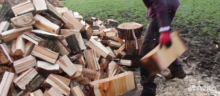 Дрова Береза