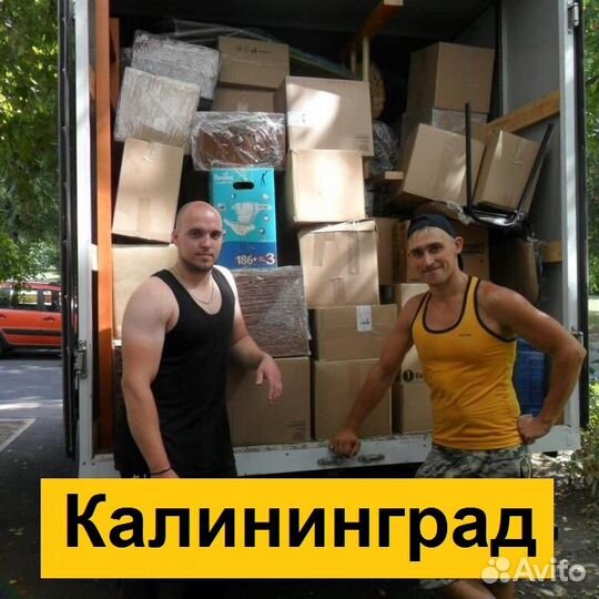 Аккуратные грузчики почасово Приедем быстро