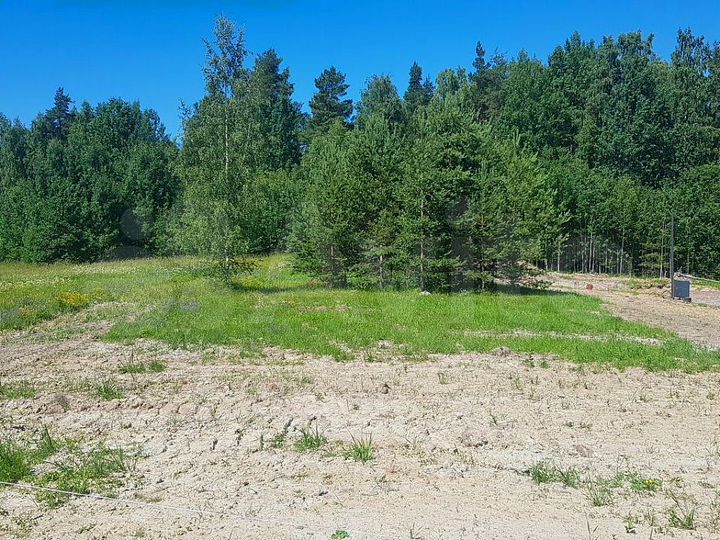 Участок 6,9 сот. (СНТ, ДНП)