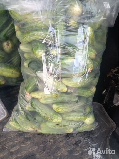 Сборщик Огурцов