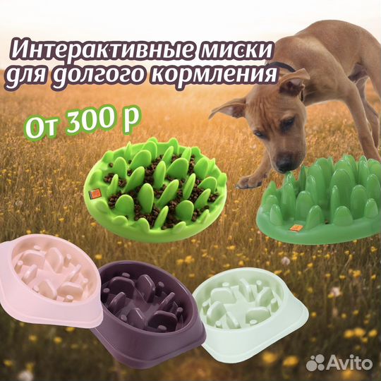 Миски для животных, новые. Большой выбор