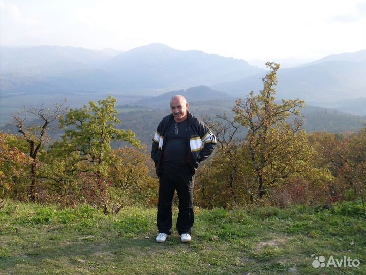 Директор, руководитель, юрист, управляющий