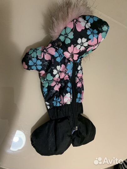 Комбинезон демисезонный для собак мелких пород