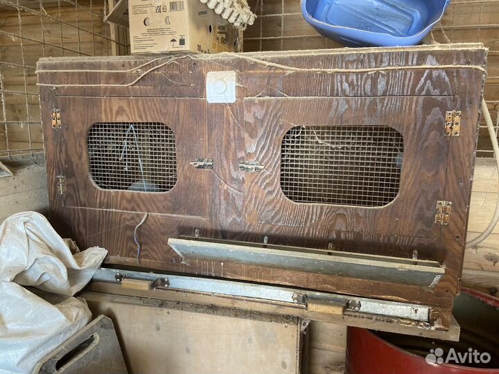 Курица.Клетки для кур. обмен