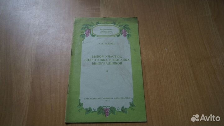 Выбор участка подготовка и посадка винограда 1957
