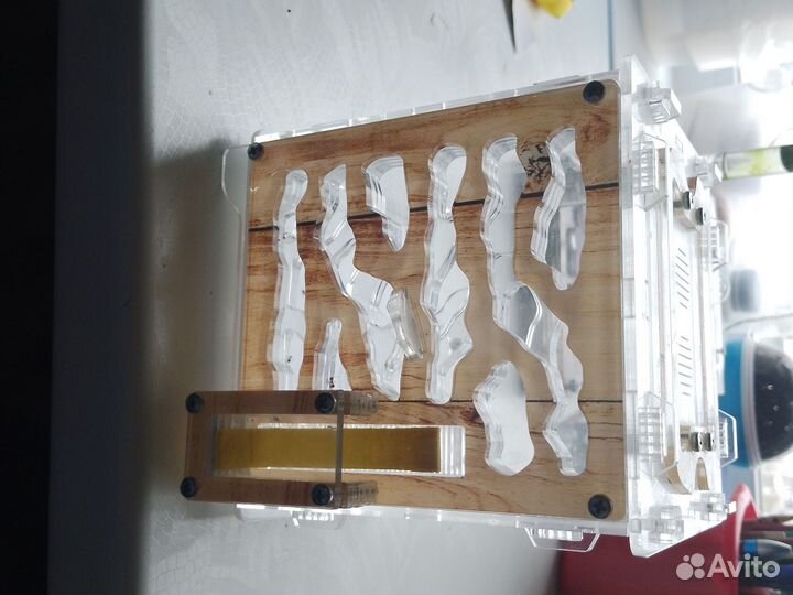 Муравьиная ферма