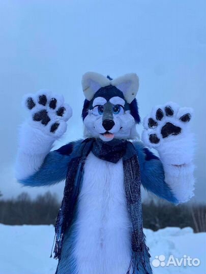 Фурсьют волка