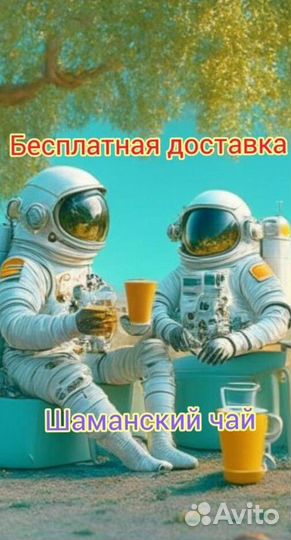 Чай пуэр « Космос шаманов » шмн14904