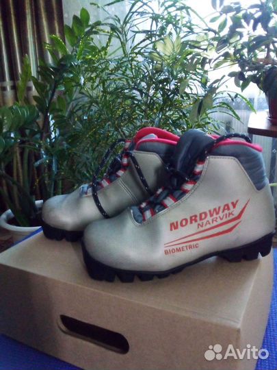 Беговые лыжи