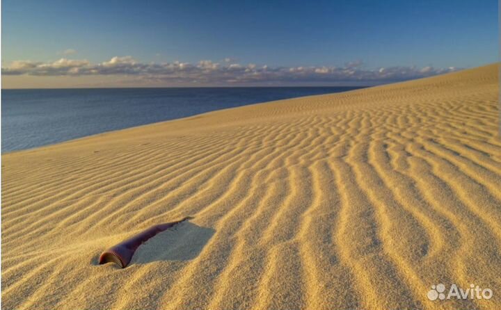 Куршская Коса экскурсия индивидуальные поездки