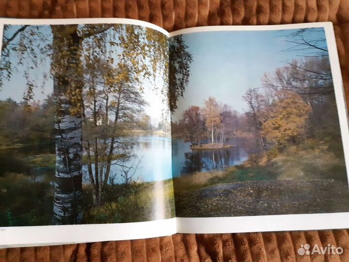 Книга Ломоносов