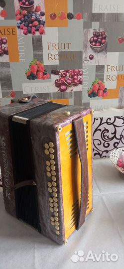 Казань гармонь