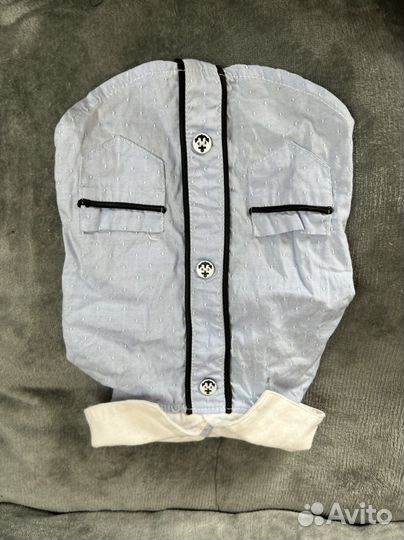 Одежда для собак