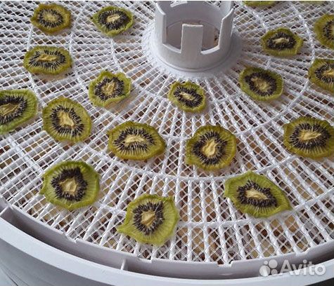 Сушилка для овощей и фруктов Волтера 1000 люкс