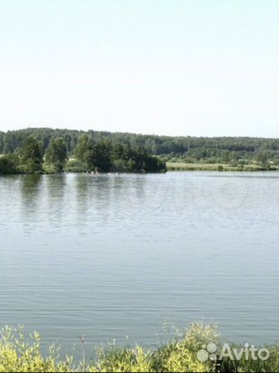 Участок 12 сот. (СНТ, ДНП)